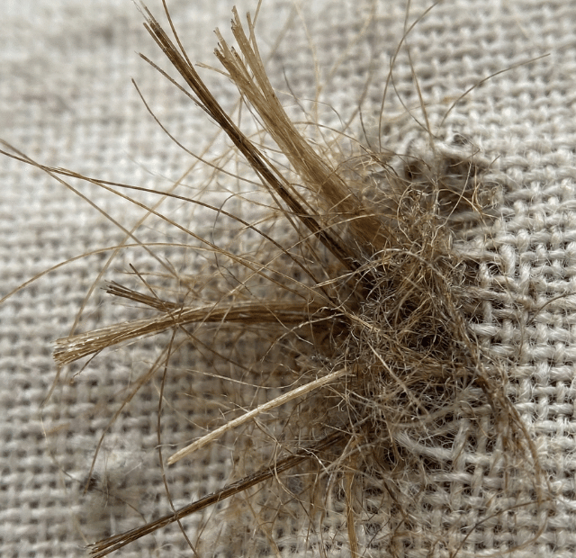 Como o jeito que você dorme pode estar acabando com seu cabelo dominando a make maquiagem batom blush geane sousa capa Web Stories